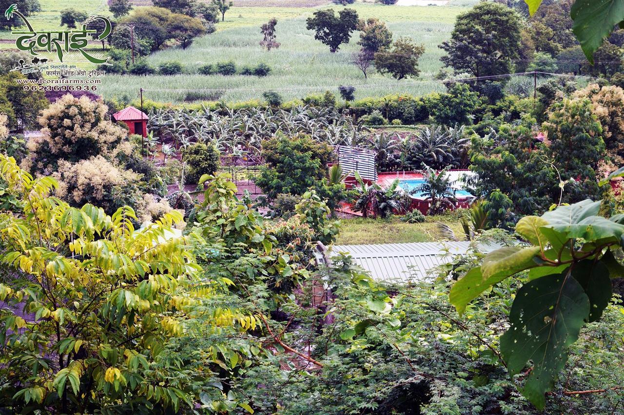 Deorai Farms And Agro Resort プネ エクステリア 写真